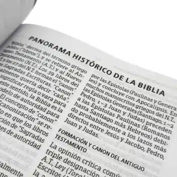 Biblia Reina Valera 1960, Tamaño Manual, Letra Grande, Símil Piel, Verde Flores 9798384525875 Biblia Reina Valera 1960, Tamaño Manual, Letra Grande, Símil Piel, Verde Flores - 9798384525875