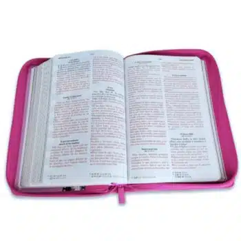 Biblia Héroes para niños, Reina Valera 1960, Letra Grande, Símil Piel, Cierre, Rosa 9798885169011 Biblia Héroes para niños, Reina Valera 1960, Letra Grande, Símil Piel, Cierre, Rosa - 9798885169011