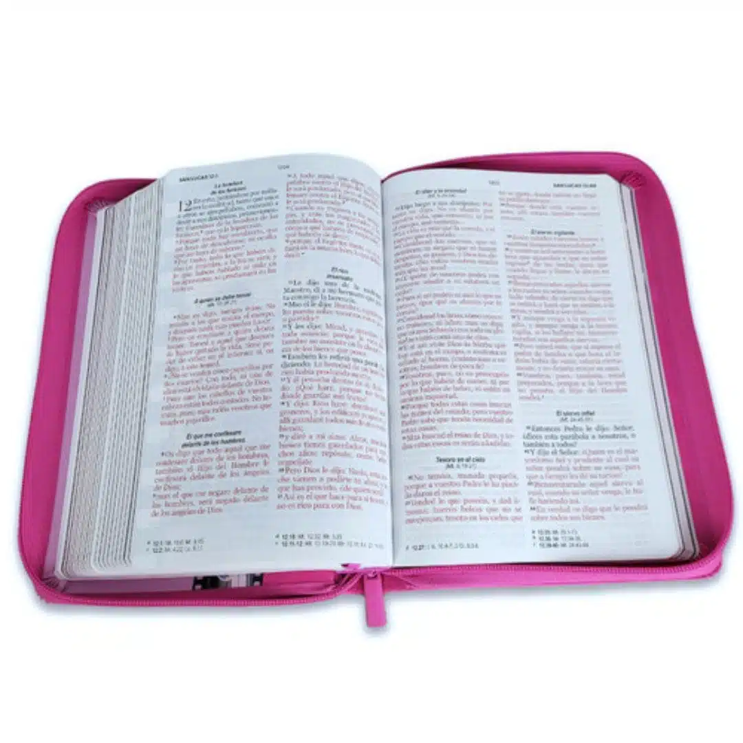 Biblia Héroes para niños, Reina Valera 1960, Letra Grande, Símil Piel, Cierre, Rosa 9798885169011 Biblia Héroes para niños, Reina Valera 1960, Letra Grande, Símil Piel, Cierre, Rosa - Imagen 5