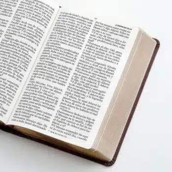 Biblia Reina Valera 1960, Letra Gigante, Símil Piel, Café, Canto Dorado 9798885169042 Biblia Reina Valera 1960, Letra Gigante, Símil Piel, Café, Canto Dorado - 9798885169042