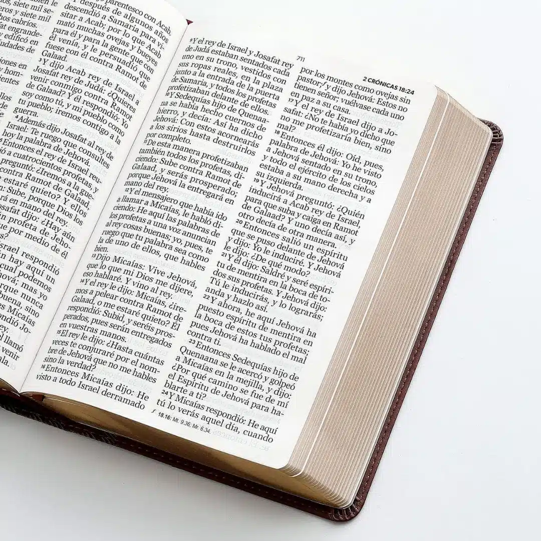 Biblia Reina Valera 1960, Letra Gigante, Símil Piel, Café, Canto Dorado 9798885169042 Biblia Reina Valera 1960, Letra Gigante, Símil Piel, Café, Canto Dorado - Imagen 3