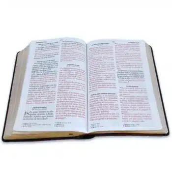 Biblia Reina Valera 1960, Letra Gigante, Símil Piel, Café, Canto Dorado 9798885169042 Biblia Reina Valera 1960, Letra Gigante, Símil Piel, Café, Canto Dorado - 9798885169042
