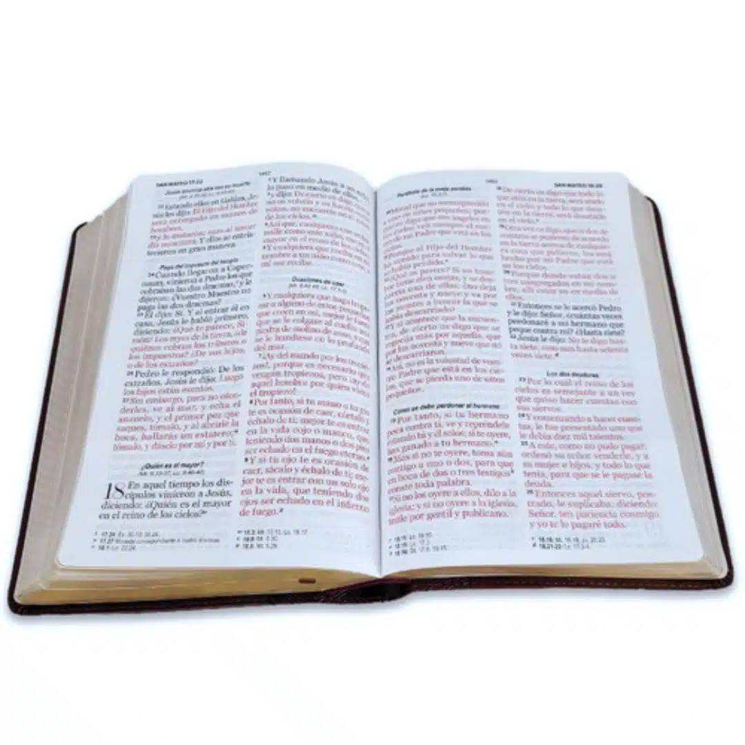 Biblia Reina Valera 1960, Letra Gigante, Símil Piel, Café, Canto Dorado 9798885169042 Biblia Reina Valera 1960, Letra Gigante, Símil Piel, Café, Canto Dorado - Imagen 4