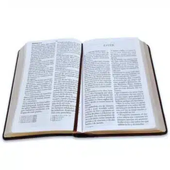 Biblia Reina Valera 1960, Letra Gigante, Símil Piel, Café, Canto Dorado 9798885169042 Biblia Reina Valera 1960, Letra Gigante, Símil Piel, Café, Canto Dorado - 9798885169042