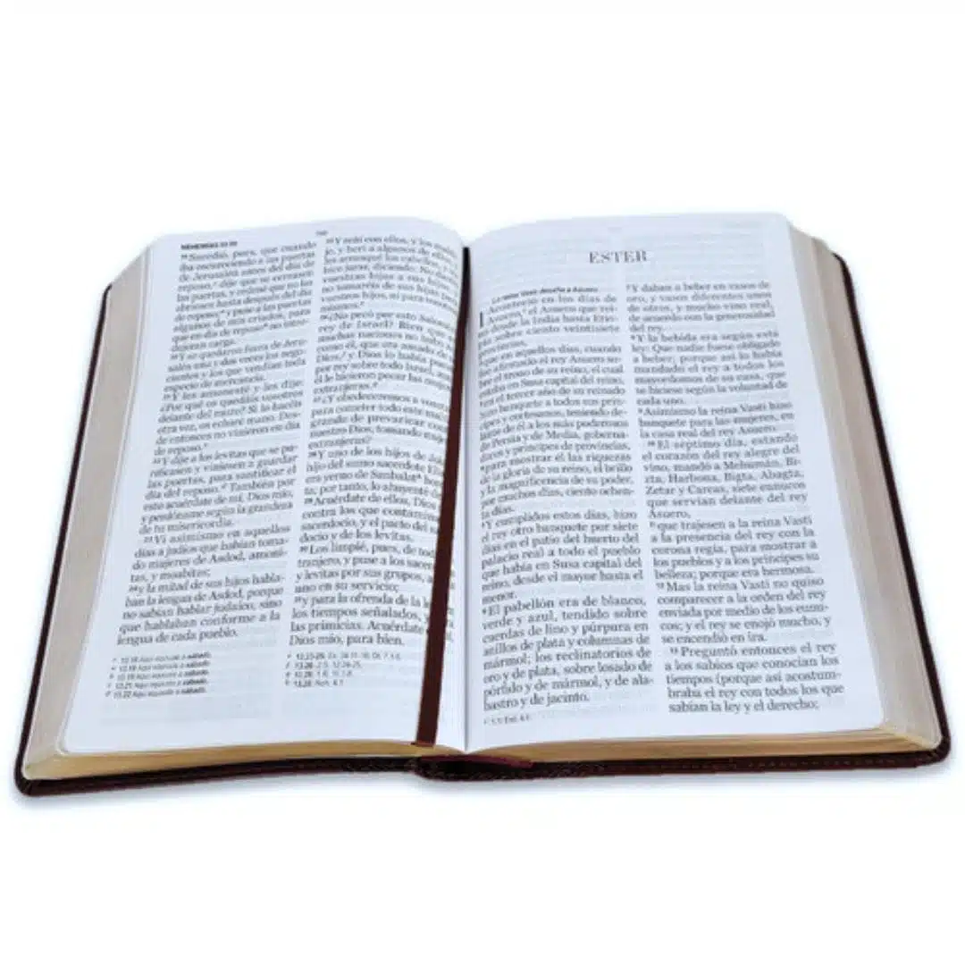Biblia Reina Valera 1960, Letra Gigante, Símil Piel, Café, Canto Dorado 9798885169042 Biblia Reina Valera 1960, Letra Gigante, Símil Piel, Café, Canto Dorado - Imagen 5
