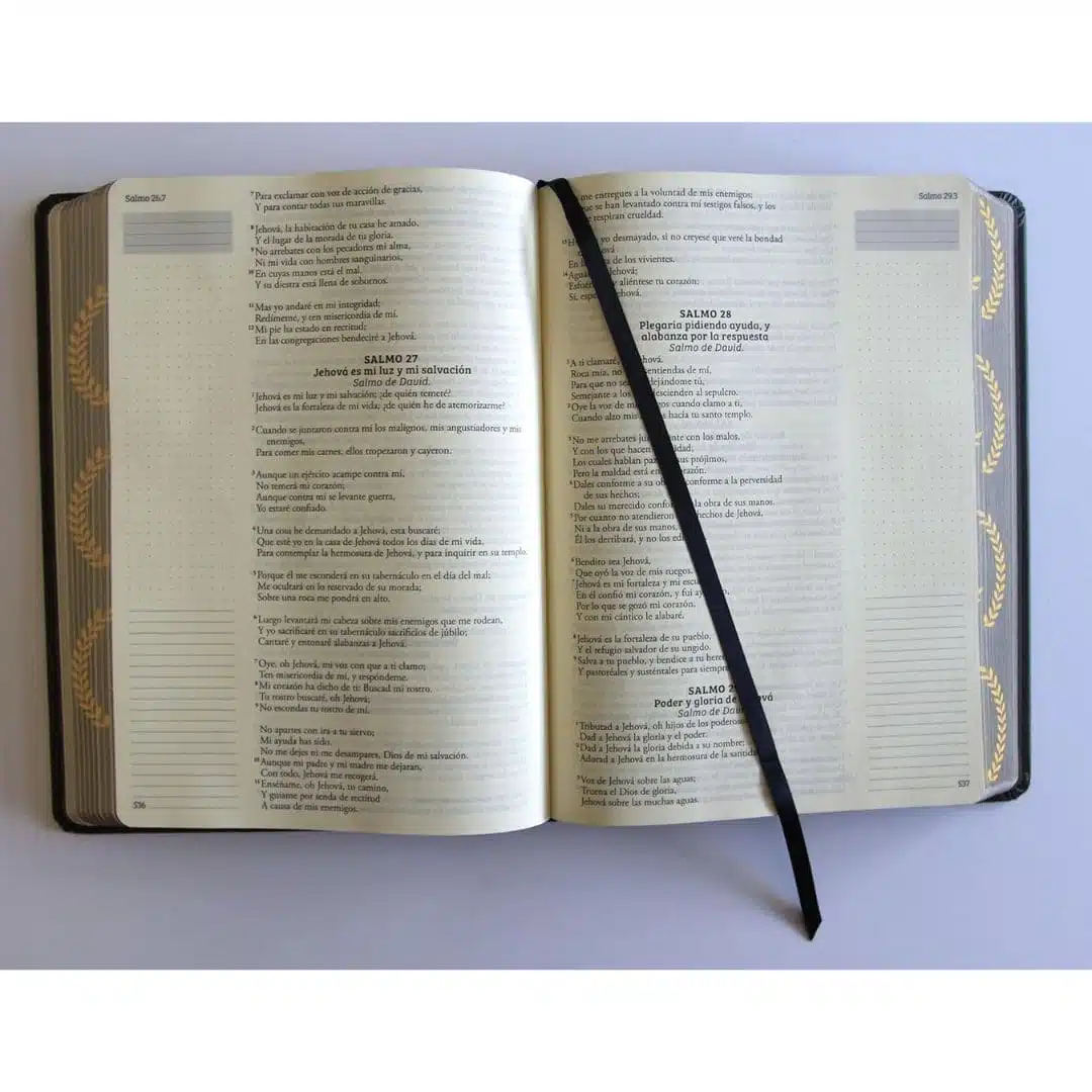 Biblia de Apuntes, Reina Valera 1960, Tapa Dura, Negro y Oro, Canto pintado 9798890982230 Biblia de Apuntes, Reina Valera 1960, Tapa Dura, Negro y Oro, Canto pintado - Imagen 4