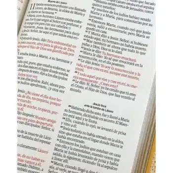 Biblia para Premios y Regalos, Reina Valera 1960, Letra Grande, Símil Piel, Cierre, Beige 9798893845433 Biblia para Premios y Regalos, Reina Valera 1960, Letra Grande, Símil Piel, Cierre, Beige - 9798893845433