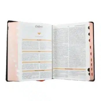 Biblia de Estudio Teológico Reina Valera 1960, Tapa Dura, Índice, Canto Bronce 7899938417874 Biblia de Estudio Teológico Reina Valera 1960, Tapa Dura, Índice, Canto Bronce - Imagen 4