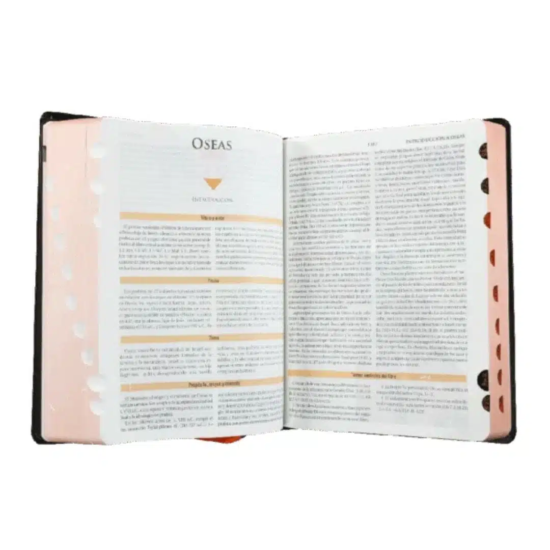 Biblia de Estudio Teológico Reina Valera 1960, Tapa Dura, Índice, Canto Bronce 7899938417874 Biblia de Estudio Teológico Reina Valera 1960, Tapa Dura, Índice, Canto Bronce - Imagen 4