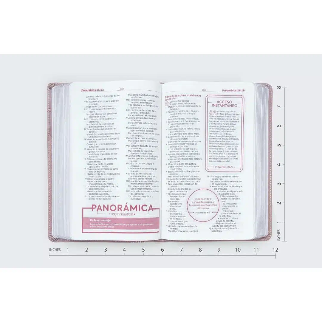 Biblia de Estudio para Jóvenes, Reina Valera 1960, Símil Piel, Oro Rosa 9780829773279 Biblia de Estudio para Jóvenes, Reina Valera 1960, Símil Piel, Oro Rosa - Imagen 4