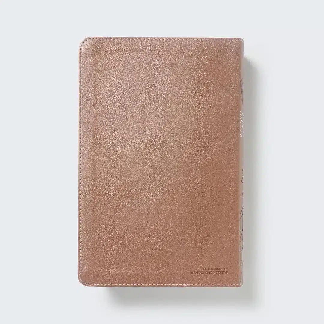 Biblia de Estudio para Jóvenes, Reina Valera 1960, Símil Piel, Oro Rosa 9780829773279 Biblia de Estudio para Jóvenes, Reina Valera 1960, Símil Piel, Oro Rosa - Imagen 5