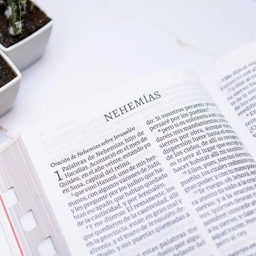 Biblia Reina Valera 1960, Letra Super Gigante, Símil Piel, Gris-Café 9781087782447 Biblia Reina Valera 1960, Letra Super Gigante, Símil Piel, Gris-Café - Imagen 4