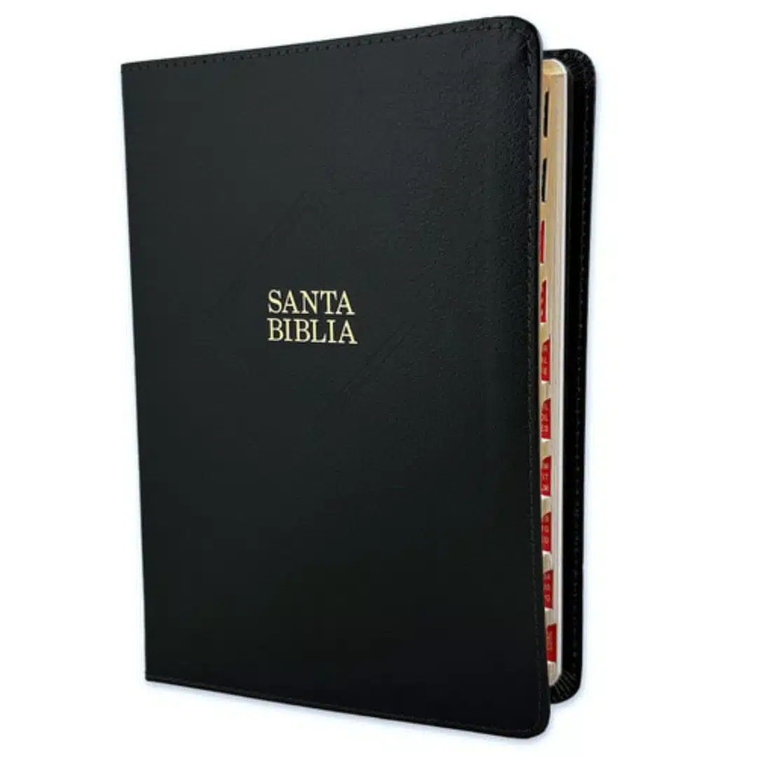 Biblia Reina Valera 1960, Tamaño Manual, Letra Grande, Símil Piel, Índice, Negro 9781430082071 Biblia Reina Valera 1960, Tamaño Manual, Letra Grande, Símil Piel, Índice, Negro - Imagen 3