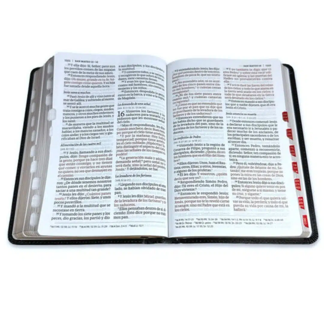 Biblia Reina Valera 1960, Tamaño Manual, Letra Grande, Símil Piel, Índice, Negro 9781430082071 Biblia Reina Valera 1960, Tamaño Manual, Letra Grande, Símil Piel, Índice, Negro - Imagen 4