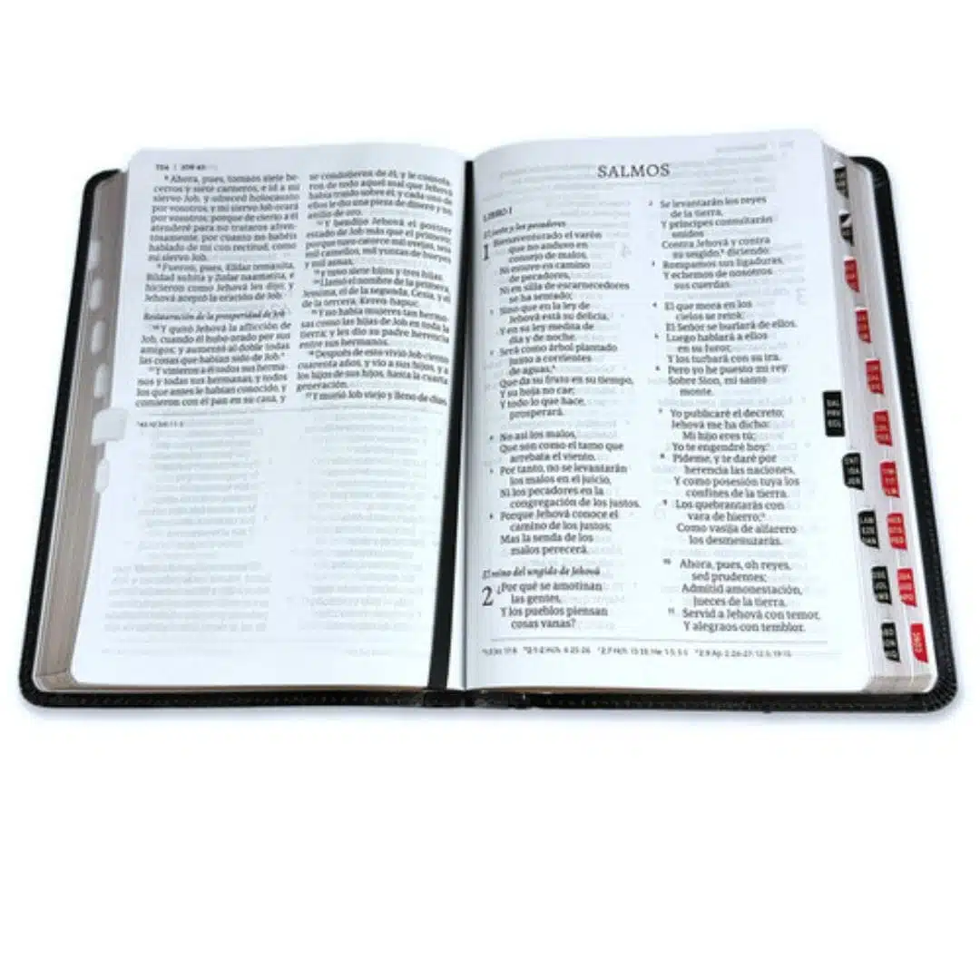 Biblia Reina Valera 1960, Tamaño Manual, Letra Grande, Símil Piel, Índice, Negro 9781430082071 Biblia Reina Valera 1960, Tamaño Manual, Letra Grande, Símil Piel, Índice, Negro - Imagen 5