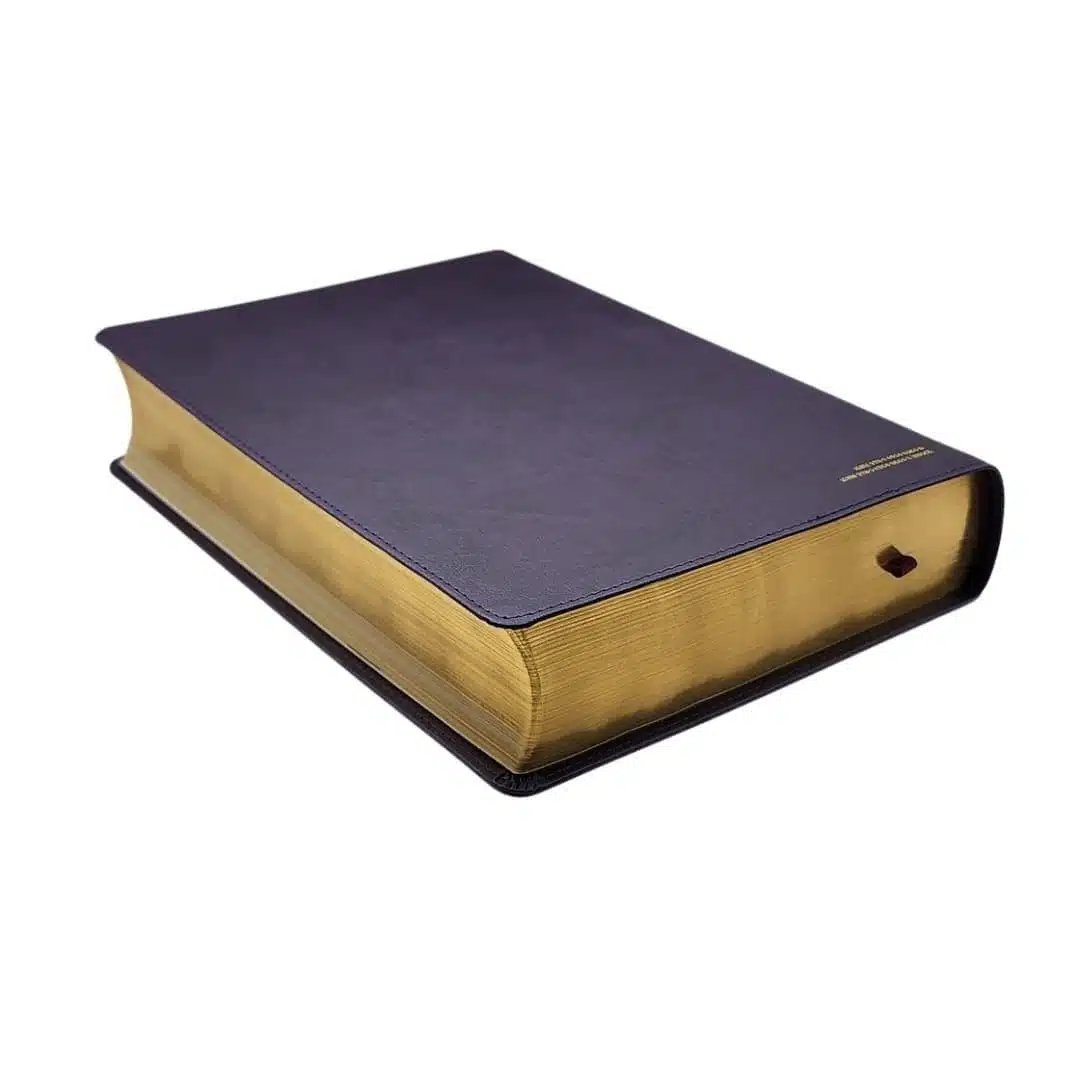 Biblia de Estudio Diario Vivir, Reina Valera 1960, Símil Piel, Morado Oscuro 9781496486646 Biblia de Estudio Diario Vivir, Reina Valera 1960, Símil Piel, Morado Oscuro - Imagen 8