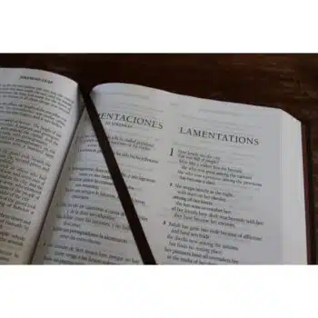 Biblia Bilingüe Reina Valera 1960/ESV, Letra Grande, Tapa Dura, Marrón 9781644734025 Biblia Bilingüe Reina Valera 1960/ESV, Letra Grande, Tapa Dura, Marrón - Imagen 4