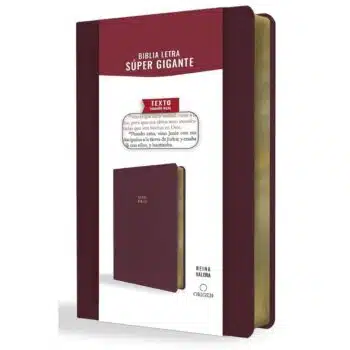 Inicio Biblia Reina Valera 1909, Letra Super Gigante, Símil Piel, Vino Tinto