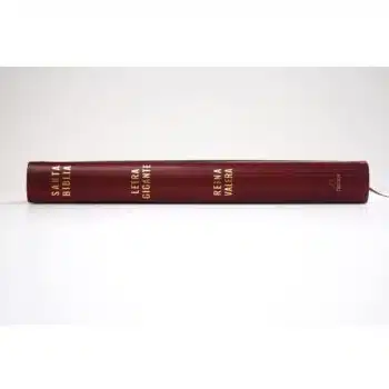 Biblia Reina Valera 1909, Letra Super Gigante, Símil Piel, Vino Tinto 9781644735671 Biblia Reina Valera 1909, Letra Super Gigante, Símil Piel, Vino Tinto - Imagen 4