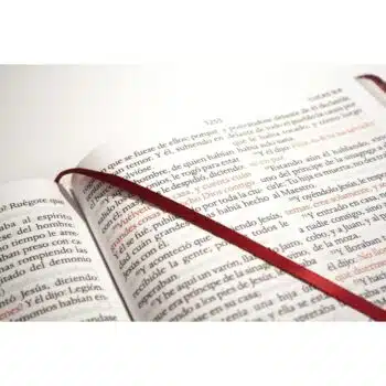 Biblia Reina Valera 1909, Letra Super Gigante, Símil Piel, Vino Tinto 9781644735671 Biblia Reina Valera 1909, Letra Super Gigante, Símil Piel, Vino Tinto - Imagen 5