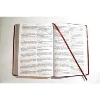 Biblia Reina Valera 1909, Letra Super Gigante, Símil Piel, Vino Tinto 9781644735671 Biblia Reina Valera 1909, Letra Super Gigante, Símil Piel, Vino Tinto - Imagen 6