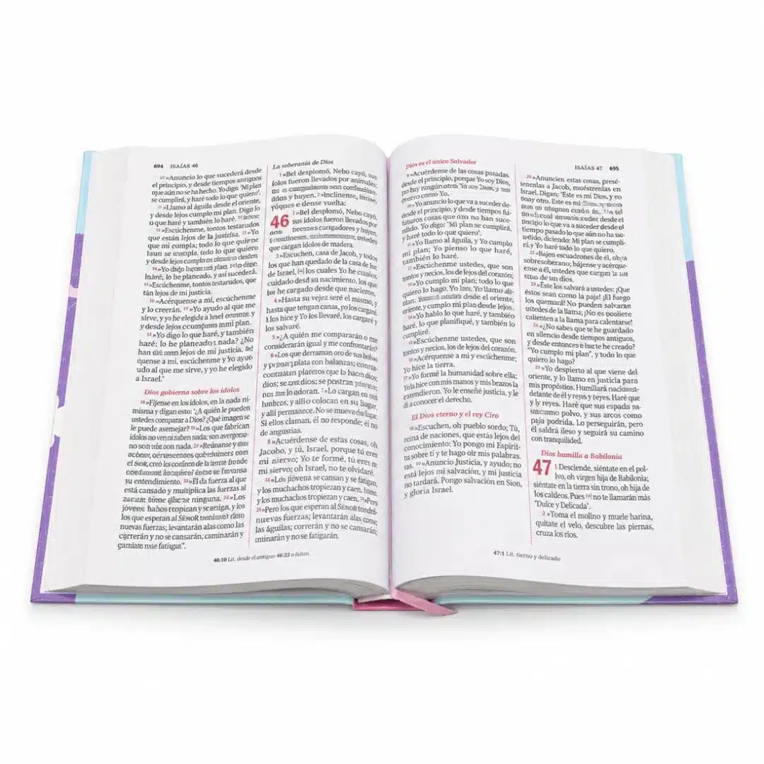 Biblia Reina Valera 1960, Letra Grande, Tapa Dura, Lila 9786287894525 Biblia Reina Valera 1960, Letra Grande, Tapa Dura, Lila - Imagen 4