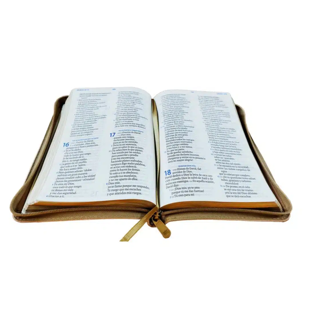 Biblia Mujer Ejemplar, TLA, Letra Grande, Símil Piel, Cierre, Palo Rosa 9789587459944 Biblia Mujer Ejemplar, TLA, Letra Grande, Símil Piel, Cierre, Palo Rosa - Imagen 4