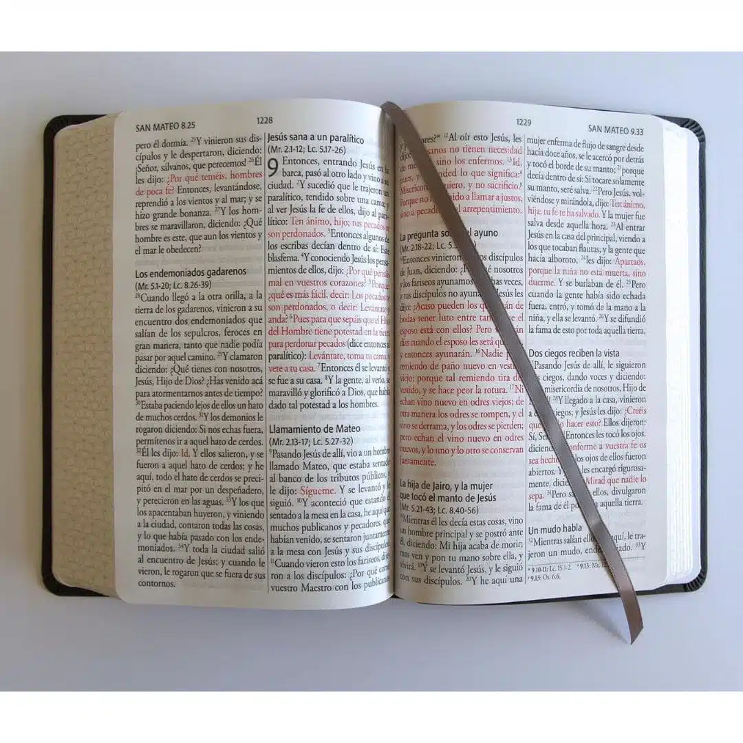 Biblia Reina Valera 1960, Tamaño Manual, Letra Gigante, Símil Piel, Gris, Canto pintado 9798890982216 Biblia Reina Valera 1960, Tamaño Manual, Letra Gigante, Símil Piel, Gris, Canto pintado - Imagen 4