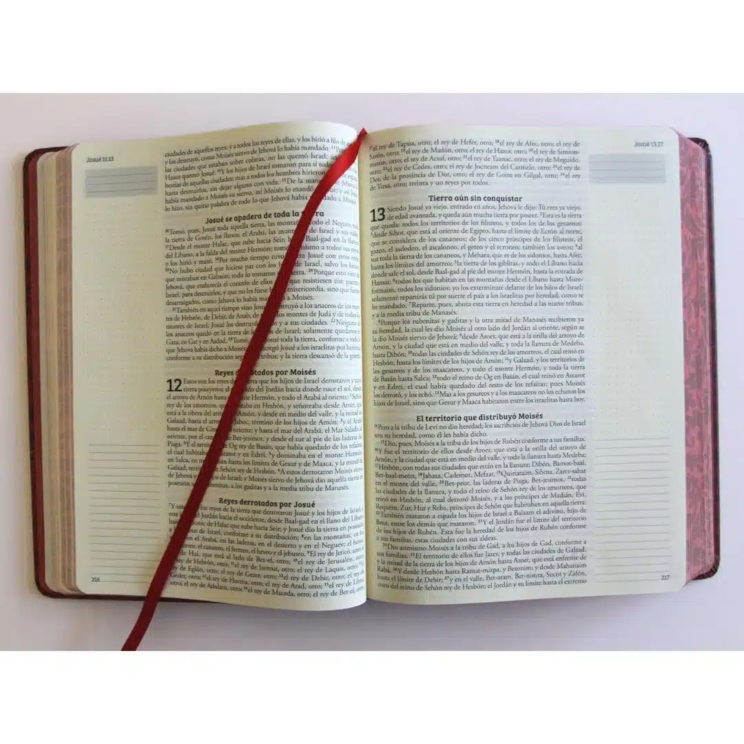 Biblia de Apuntes, Reina Valera 1960, Tapa Dura, Vino Tinto, Flores 9798890982247 Biblia de Apuntes, Reina Valera 1960, Tapa Dura, Vino Tinto, Flores - Imagen 6