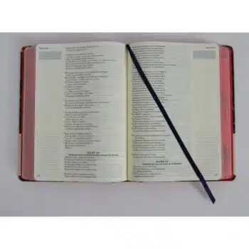 Biblia de Apuntes Reina Valera 1960, Tapa Dura, Azul Oscuro con flores 9798890982285 Biblia de Apuntes Reina Valera 1960, Tapa Dura, Azul Oscuro con flores - Imagen 3