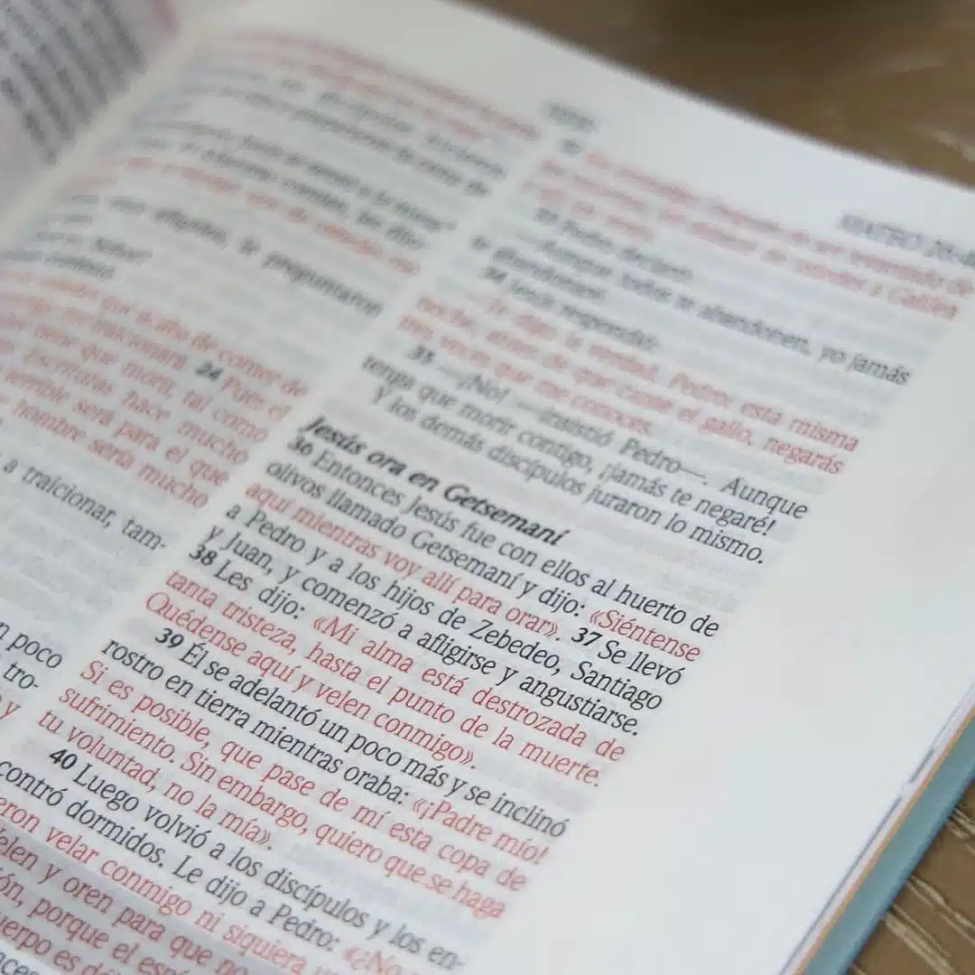 Biblia de Promesas para Mujeres Jóvenes Reina Valera 1960, Letra Grande, Tapa Dura, Lila 9780789929259 Biblia de Promesas para Mujeres Jóvenes Reina Valera 1960, Letra Grande, Tapa Dura, Lila - Imagen 4