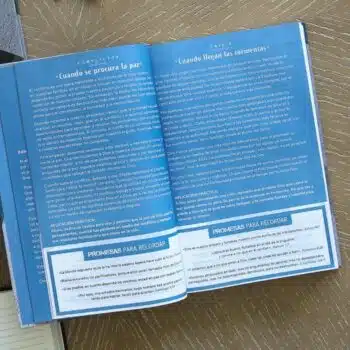 Biblia de Promesas para Hombres Jóvenes Reina Valera 1960, Letra Grande, Tapa Dura, Azul-Gris 9780789929273 Biblia de Promesas para Hombres Jóvenes Reina Valera 1960, Letra Grande, Tapa Dura, Azul-Gris - Imagen 4