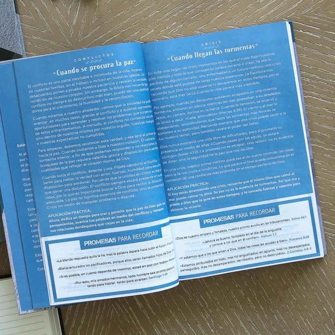 Biblia de Promesas para Hombres Jóvenes Reina Valera 1960, Letra Grande, Tapa Dura, Azul-Gris 9780789929273 Biblia de Promesas para Hombres Jóvenes Reina Valera 1960, Letra Grande, Tapa Dura, Azul-Gris - Imagen 4