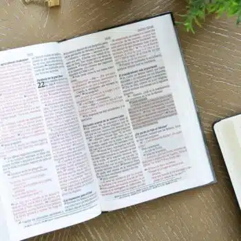 Biblia de Promesas para Hombres Jóvenes Reina Valera 1960, Letra Grande, Tapa Dura, Azul-Gris 9780789929273 Biblia de Promesas para Hombres Jóvenes Reina Valera 1960, Letra Grande, Tapa Dura, Azul-Gris - Imagen 5