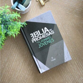 Alternative view of Biblia de Promesas para Hombres Jóvenes NTV, Letra Grande, Tapa Dura, Negro-Gris