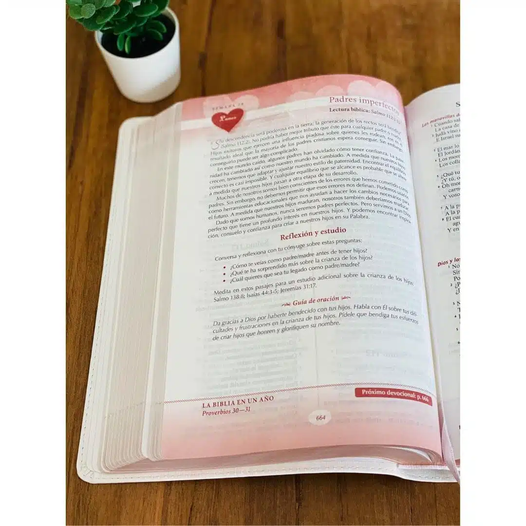 Biblia Devocional Los lenguajes del amor Reina Valera 1960, Símil Piel, Oro Rosa 9780825455766 Biblia Devocional Los lenguajes del amor Reina Valera 1960, Símil Piel, Oro Rosa - Imagen 3