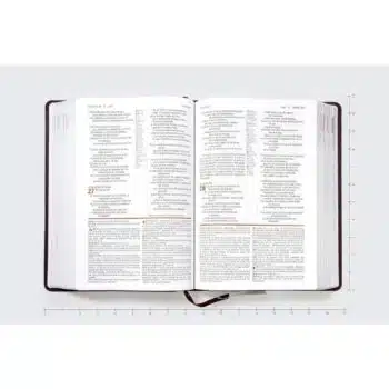 Biblia de Estudio NVI, Letra Grande, Símil Piel, Café 9780829771923 Biblia de Estudio NVI, Letra Grande, Símil Piel, Café - Imagen 3