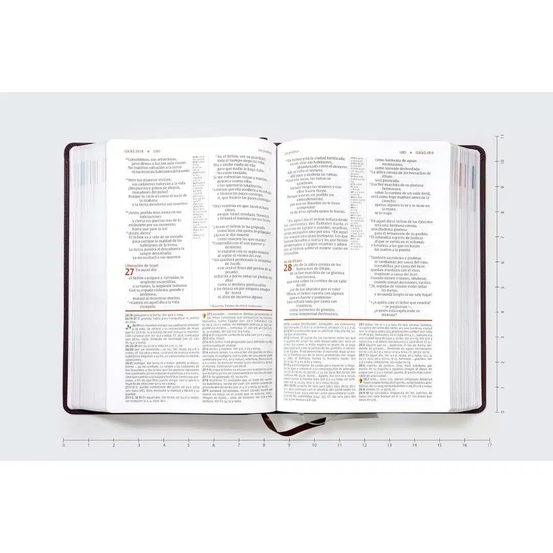 Biblia de Estudio NVI, Letra Grande, Símil Piel, Café 9780829771923 Biblia de Estudio NVI, Letra Grande, Símil Piel, Café - Imagen 3