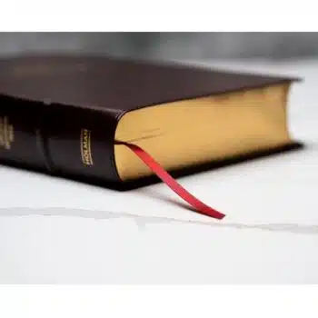 Biblia del ministro Reina Valera 1960, Edición Ampliada, Letra Grande, Piel, Caoba 9781430082002 Biblia del ministro Reina Valera 1960, Edición Ampliada, Letra Grande, Piel, Caoba - Imagen 3
