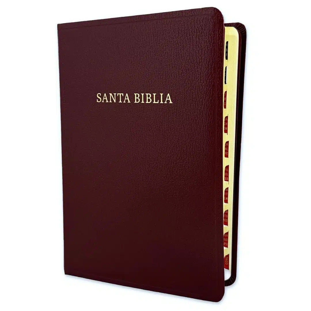Biblia Reina Valera 1960, Tamaño Manual, Letra Grande, Símil Piel, Índice, Borgoña 9781430082286 Biblia Reina Valera 1960, Tamaño Manual, Letra Grande, Símil Piel, Índice, Borgoña - Imagen 3