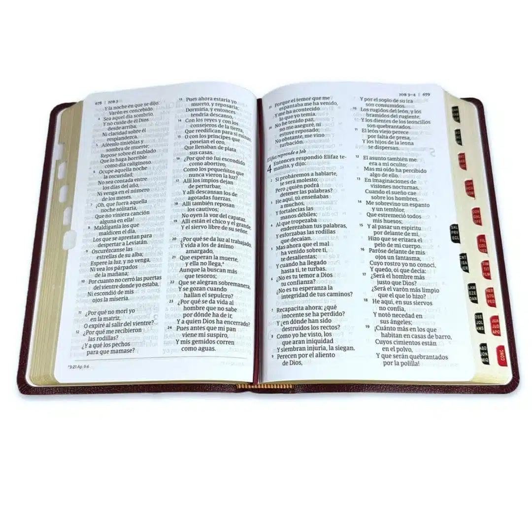 Biblia Reina Valera 1960, Tamaño Manual, Letra Grande, Símil Piel, Índice, Borgoña 9781430082286 Biblia Reina Valera 1960, Tamaño Manual, Letra Grande, Símil Piel, Índice, Borgoña - Imagen 4