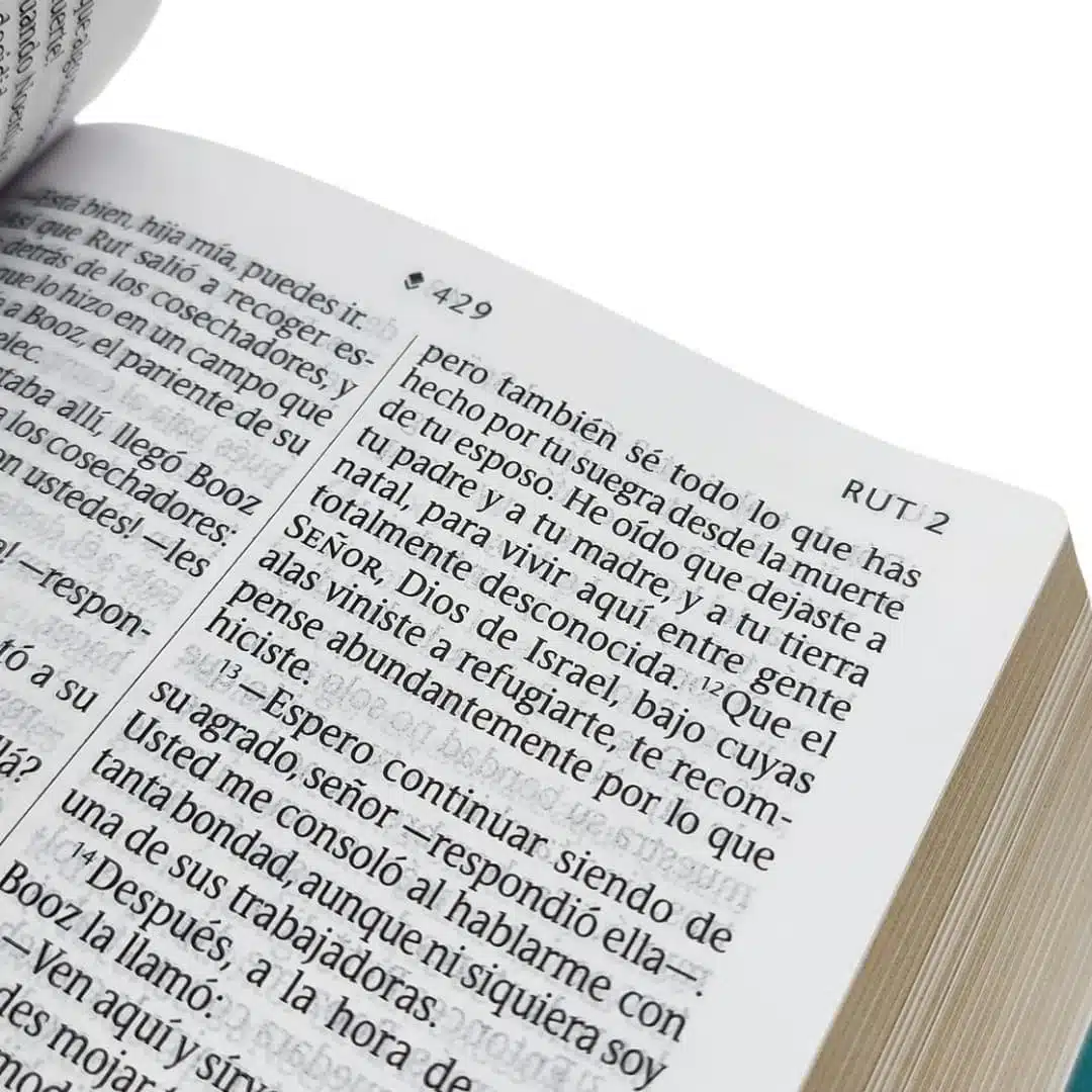 Biblia NTV, Tamaño Compacto, Letra Gigante, Símil Piel, Turquesa floral 9781496489654 Biblia NTV, Tamaño Compacto, Letra Gigante, Símil Piel, Turquesa floral - Imagen 4