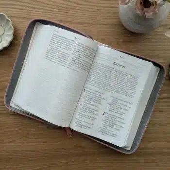 Biblia NTV, Tamaño Compacto, Letra Gigante, Símil Piel, Cierre, Blanco 9781496489692 Biblia NTV, Tamaño Compacto, Letra Gigante, Símil Piel, Cierre, Blanco - Imagen 6
