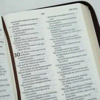 Biblia NVI, Letra Gigante, Símil Piel, Cierre, Café 9781949238945 Biblia NVI, Letra Gigante, Símil Piel, Cierre, Café - Imagen 4