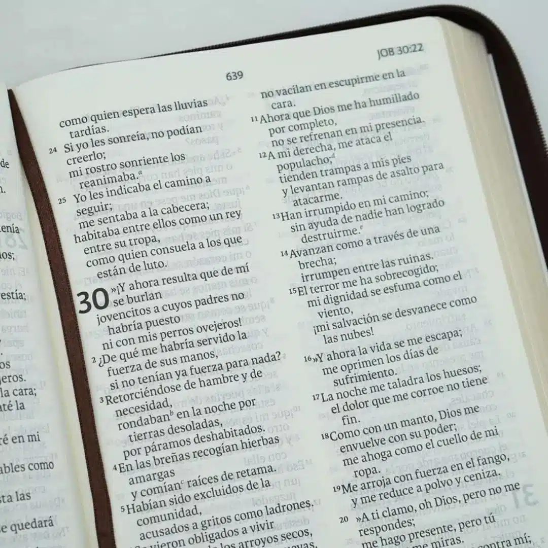 Biblia NVI, Letra Gigante, Símil Piel, Cierre, Café 9781949238945 Biblia NVI, Letra Gigante, Símil Piel, Cierre, Café - Imagen 4