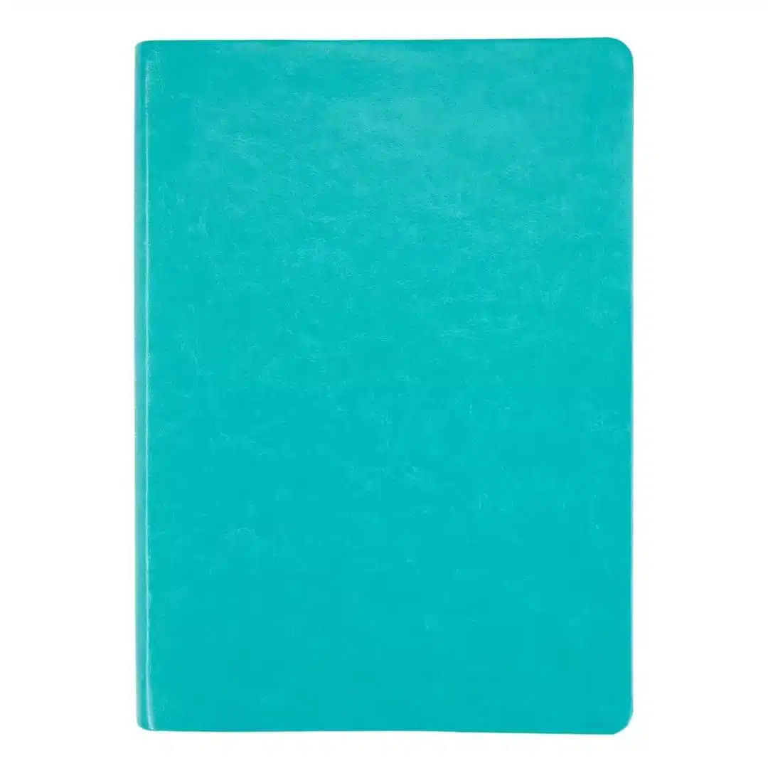 Biblia NVI, Letra Gigante, Símil Piel, Aguamarina 9781949238969 Biblia NVI, Letra Gigante, Símil Piel, Aguamarina