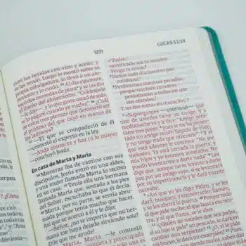 Biblia NVI, Letra Gigante, Símil Piel, Aguamarina 9781949238969 Biblia NVI, Letra Gigante, Símil Piel, Aguamarina - Imagen 3