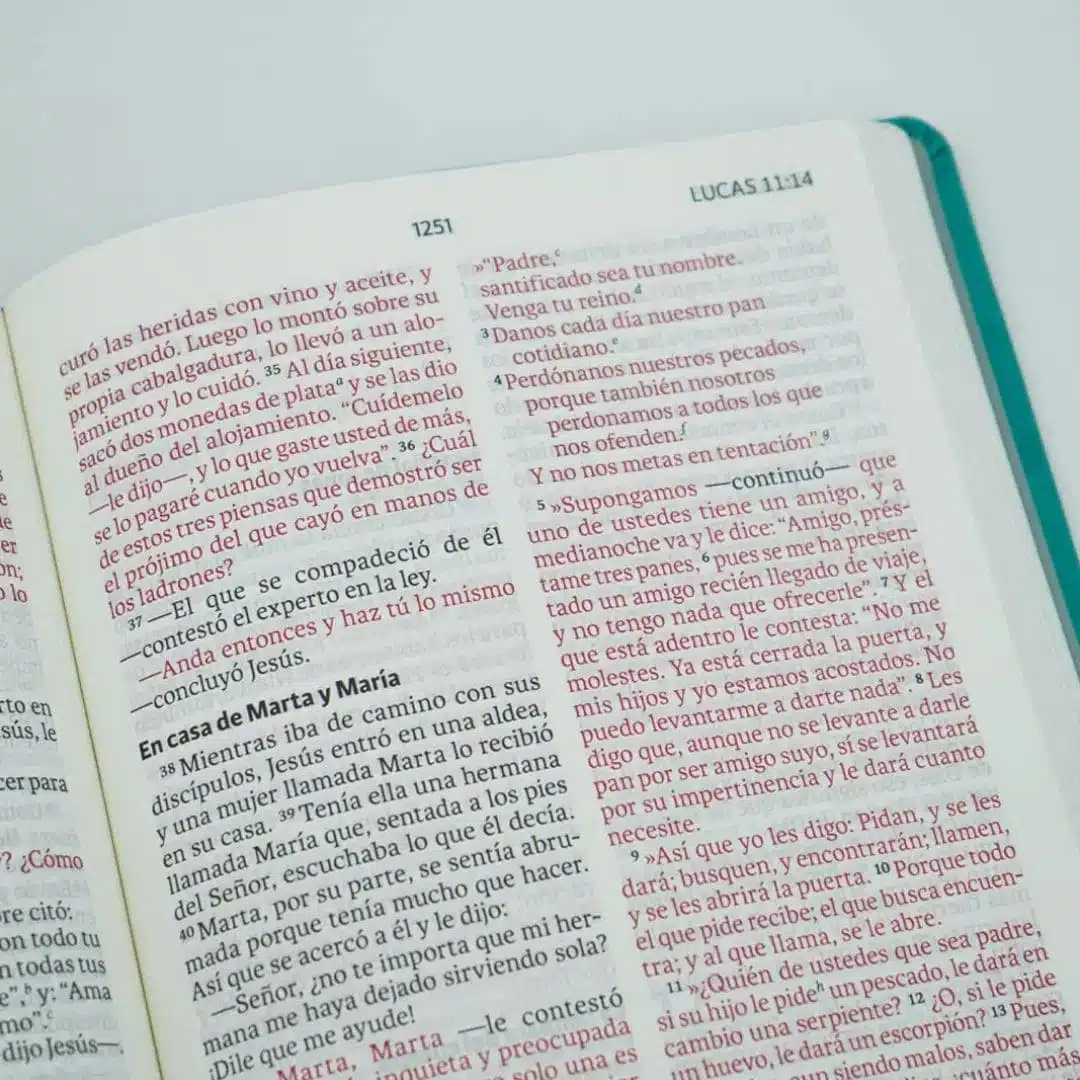 Biblia NVI, Letra Gigante, Símil Piel, Aguamarina 9781949238969 Biblia NVI, Letra Gigante, Símil Piel, Aguamarina - Imagen 3
