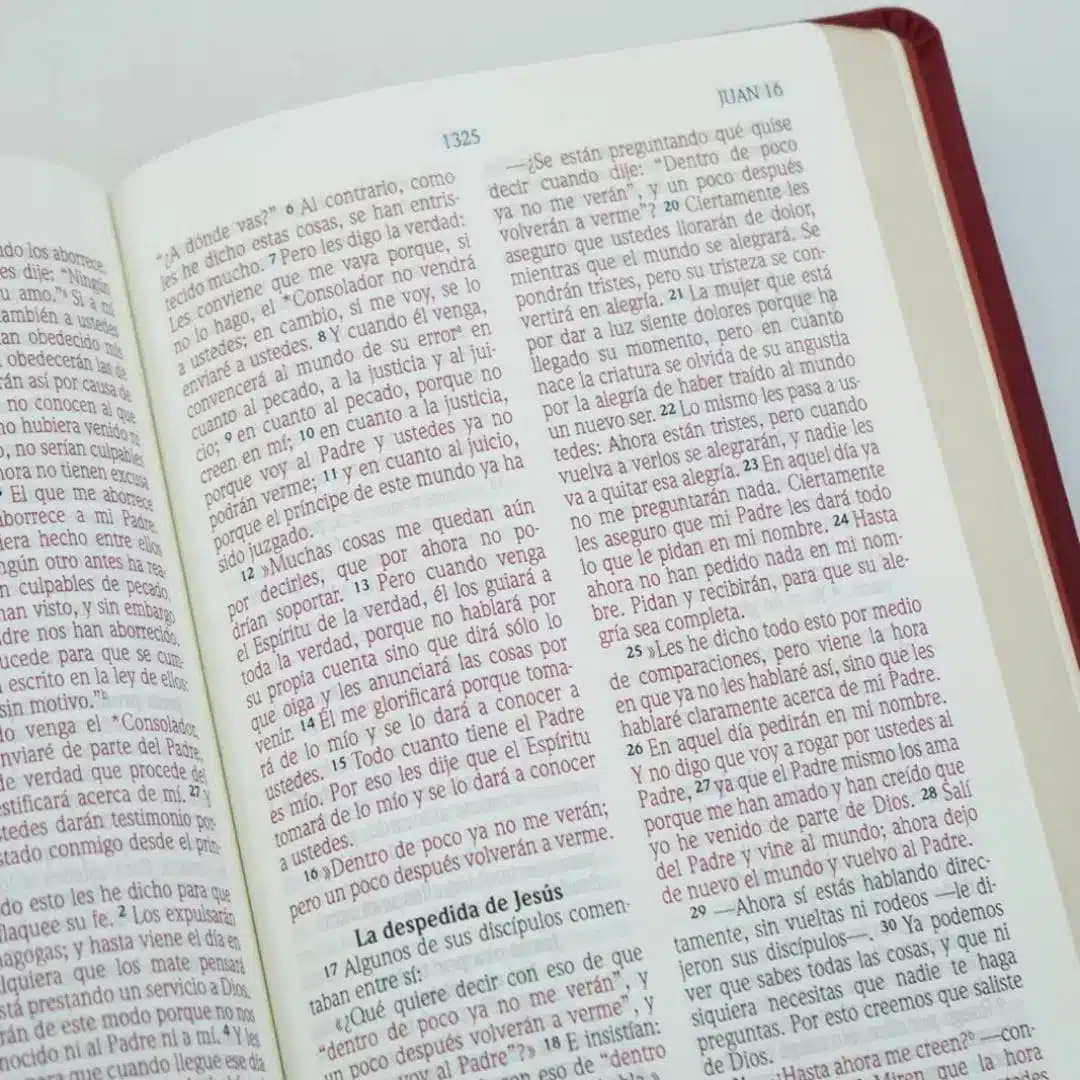 Biblia NVI, Letra Grande, Símil Piel, Vino Tinto 9781956959079 Biblia NVI, Letra Grande, Símil Piel, Vino Tinto - Imagen 3