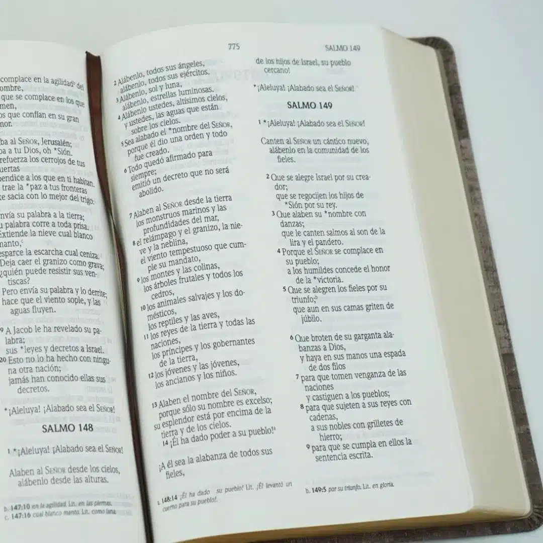 Biblia NVI, Letra Grande, Símil Piel, Madera 9781956959086 Biblia NVI, Letra Grande, Símil Piel, Madera - Imagen 4